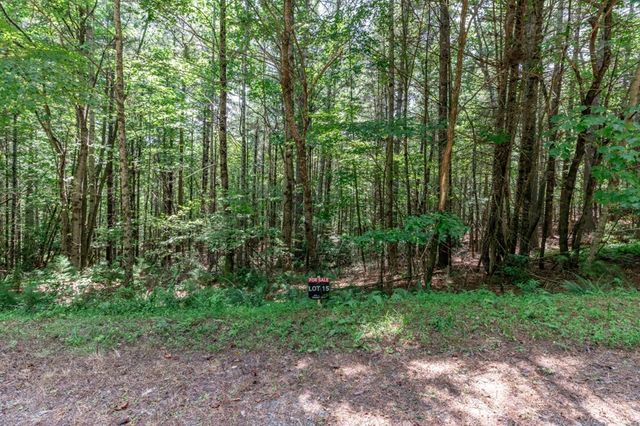 Lot 15 Rocking Chair Ridge, Mineral Bluff, GA 30559