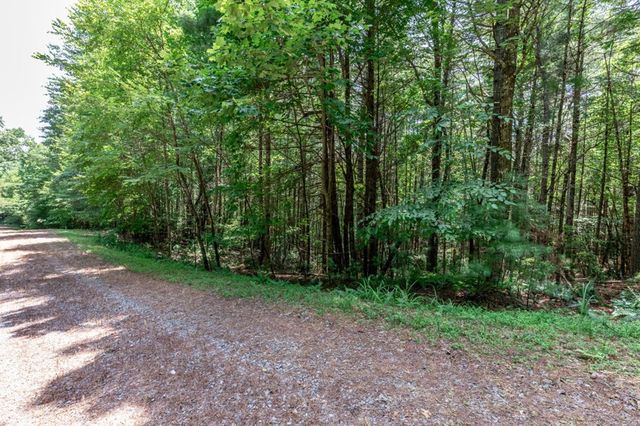Lot 15 Rocking Chair Ridge, Mineral Bluff, GA 30559