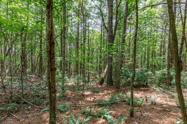 Lot 15 Rocking Chair Ridge, Mineral Bluff, GA 30559