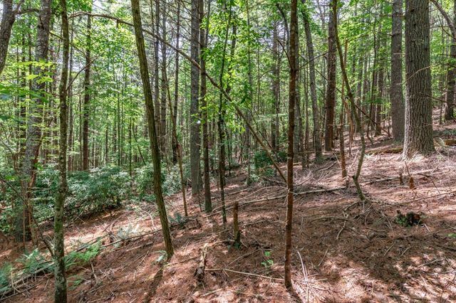 Lot 15 Rocking Chair Ridge, Mineral Bluff, GA 30559