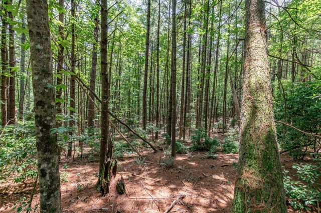 Lot 15 Rocking Chair Ridge, Mineral Bluff, GA 30559