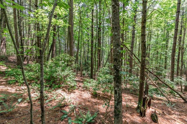 Lot 15 Rocking Chair Ridge, Mineral Bluff, GA 30559