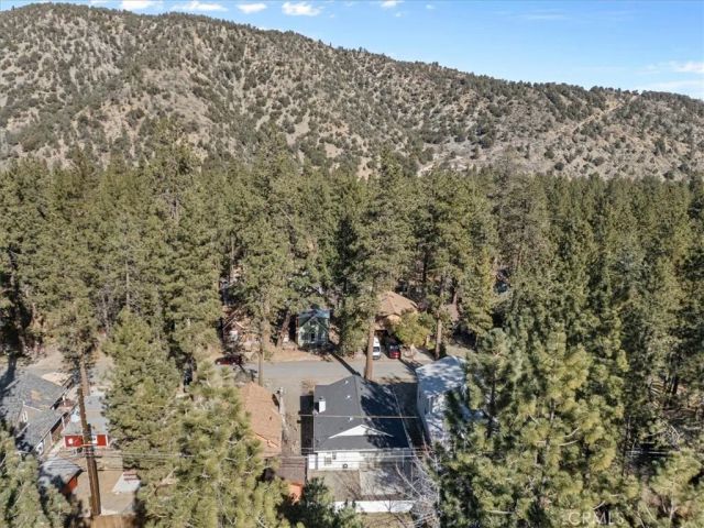 1489 Irene, Wrightwood, CA 92397