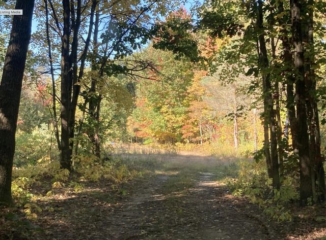 0 130th Avenue, Fennville, MI 49408