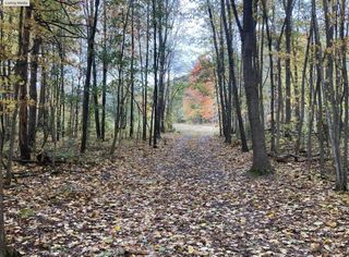 0 130th Avenue, Fennville, MI 49408