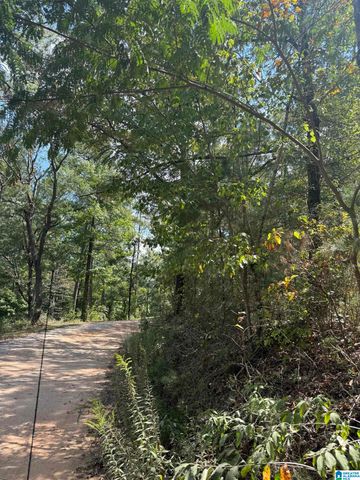 Lot 47 COUNTY ROAD 264, Wedowee, AL 36278