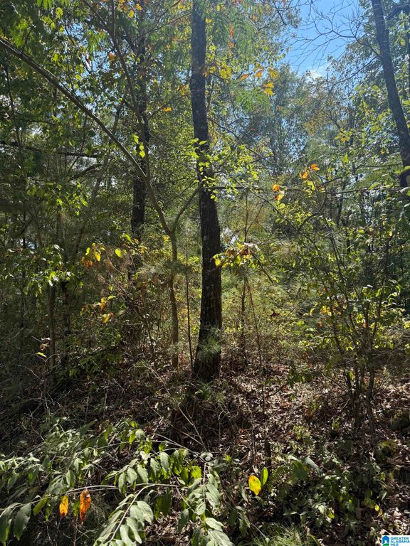 Lot 47 COUNTY ROAD 264, Wedowee, AL 36278