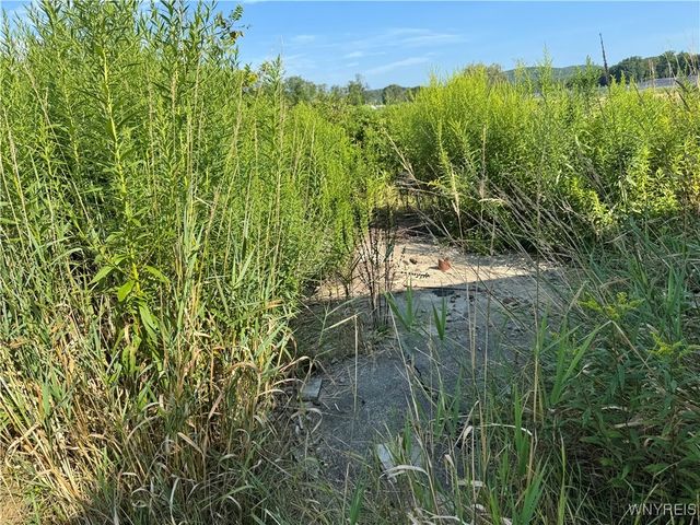 1446 Penn Avenue, Portville, NY 14788