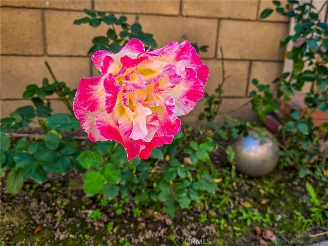 725 S Gaybar, West Covina, CA 91790