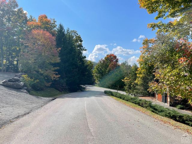 2 Twin Maples Lane, Windham, NY 12496