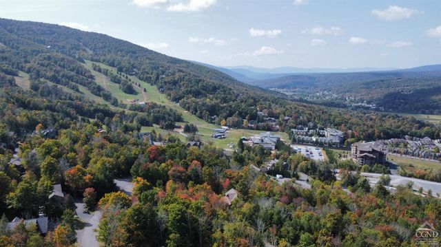 2 Twin Maples Lane, Windham, NY 12496