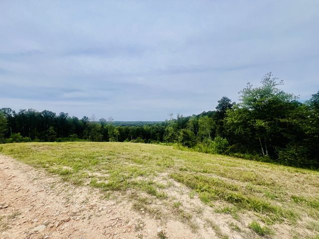 0 Kro Hollow Rd, Hohenwald, TN 38462