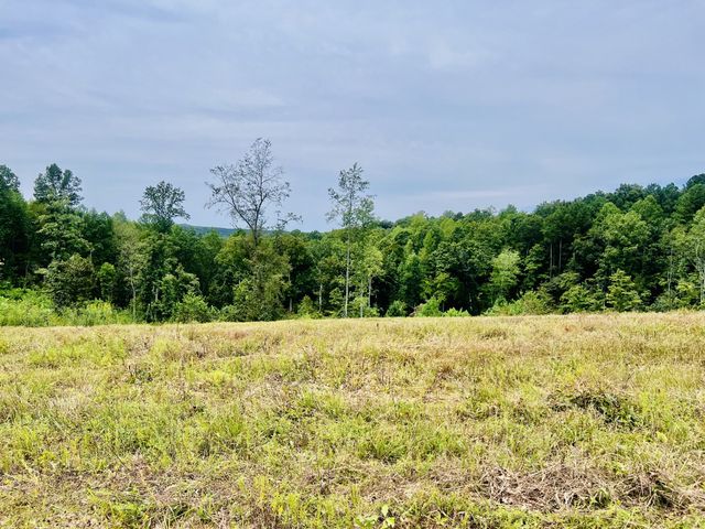 0 Kro Hollow Rd, Hohenwald, TN 38462