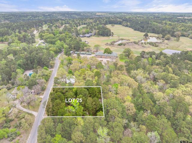 lot 25 ACR 319, Frankston, TX 75763