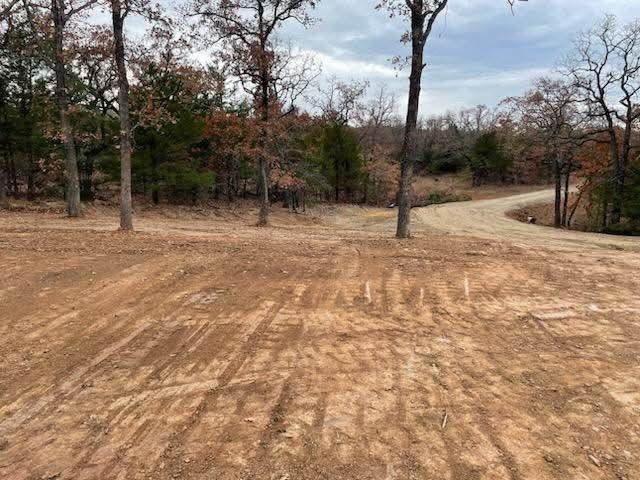 208 Red Top Road, Valley View, TX 76272