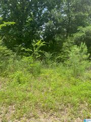0 JEAN RIDGE LANE, Odenville, AL 35120