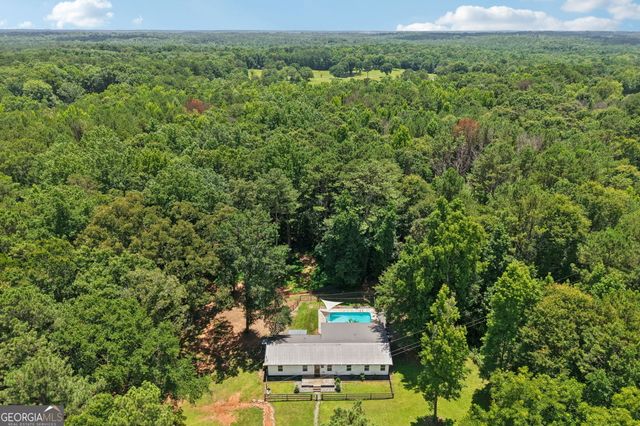 1199 Bo Bo Banks Road, Grantville, GA 30220