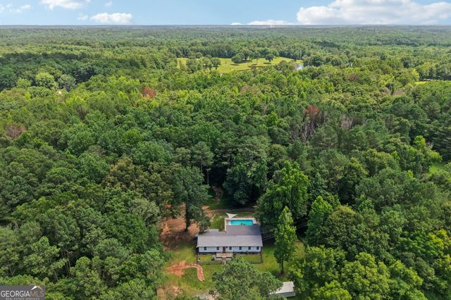 1199 Bo Bo Banks Road, Grantville, GA 30220