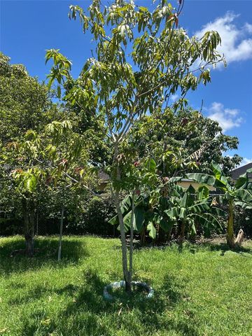 1181 SW 141st Ave, Miami, FL 33184