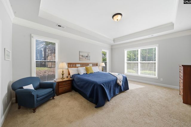 310 Explorer Drive, Chapin, SC 29036