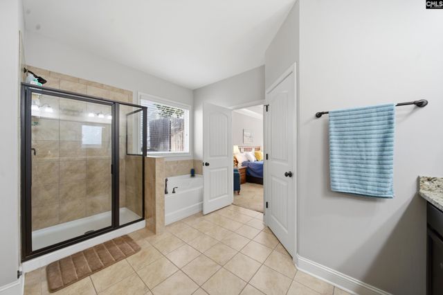 310 Explorer Drive, Chapin, SC 29036