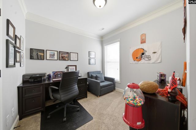 310 Explorer Drive, Chapin, SC 29036