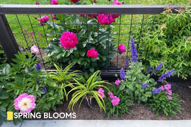 380 San Carlos Avenue, Redwood City, CA 94061