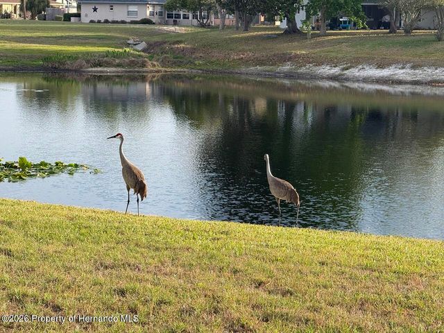 8991 Lismore Court, Weeki Wachee, FL 34613