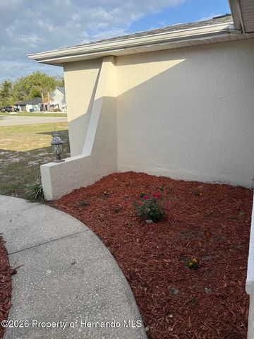 8991 Lismore Court, Weeki Wachee, FL 34613