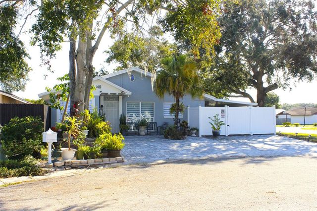 10301 FERNGLEN PLACE, Tampa, FL 33624