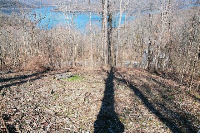 240 Wilson Circle, Smithville, TN 37166