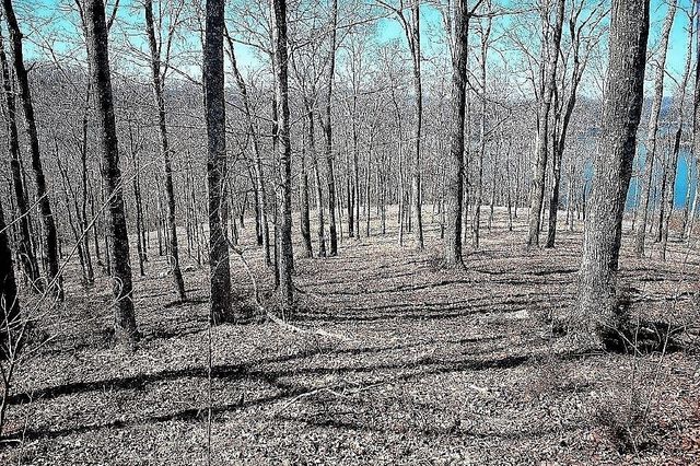 240 Wilson Circle, Smithville, TN 37166