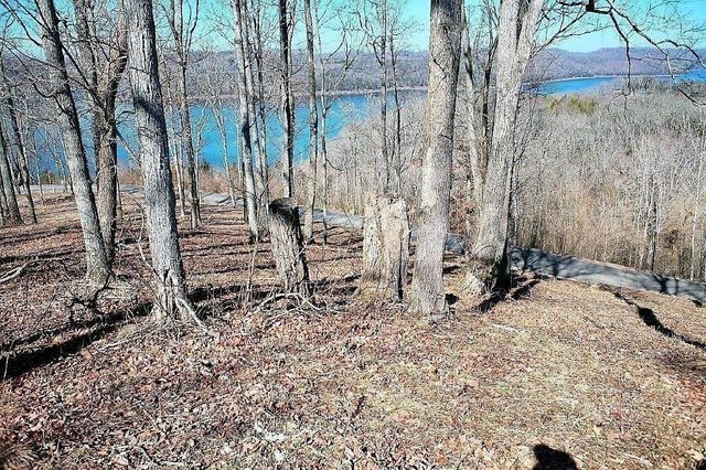 240 Wilson Circle, Smithville, TN 37166