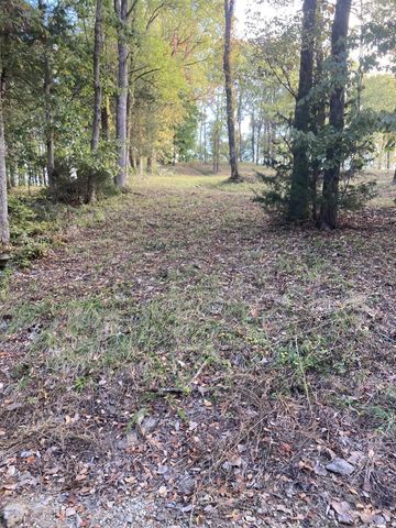 240 Wilson Circle, Smithville, TN 37166