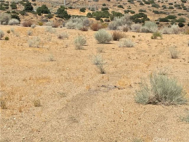 32952 Angeles Forest Highway, Palmdale, CA 93550