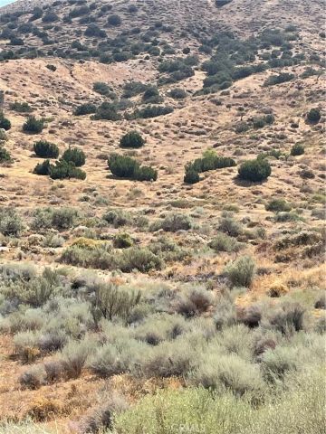 32952 Angeles Forest Highway, Palmdale, CA 93550