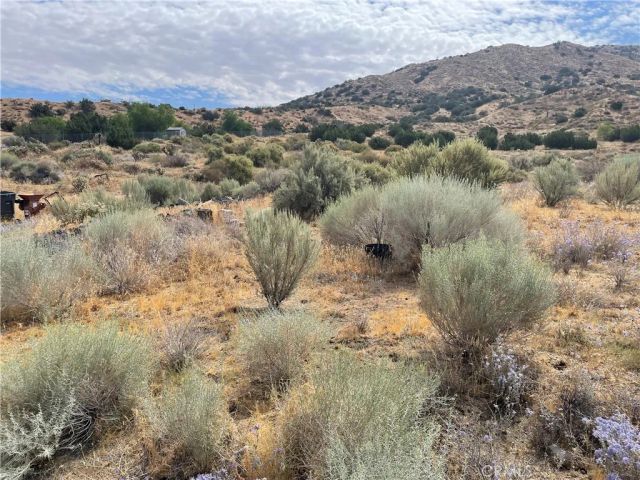 32952 Angeles Forest Highway, Palmdale, CA 93550