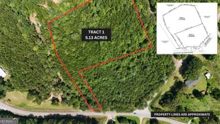 TRACT 1 Tesnatee Gap Valley Road, Cleveland, GA 30528