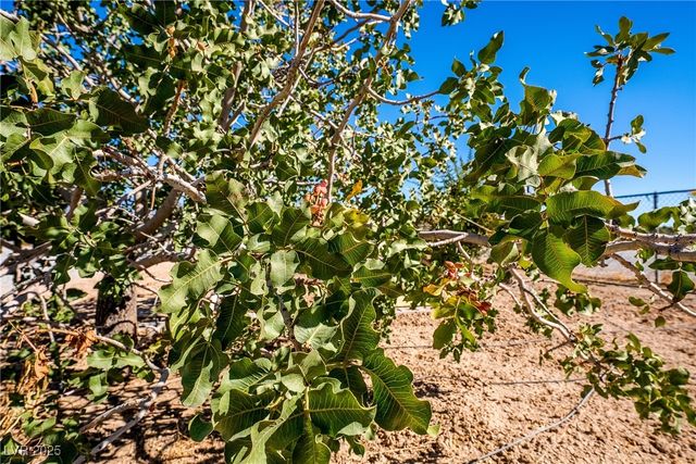 2140 Appaloosa Lane, Pahrump, NV 89060