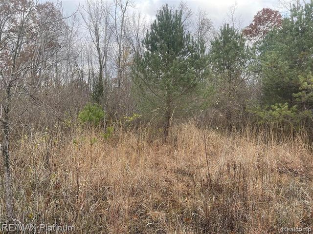 0 Seymour Road, Linden, MI 48451