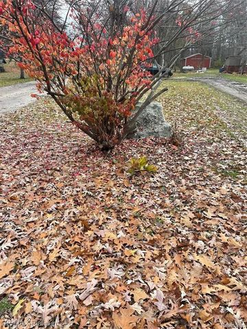 0 Seymour Road, Linden, MI 48451