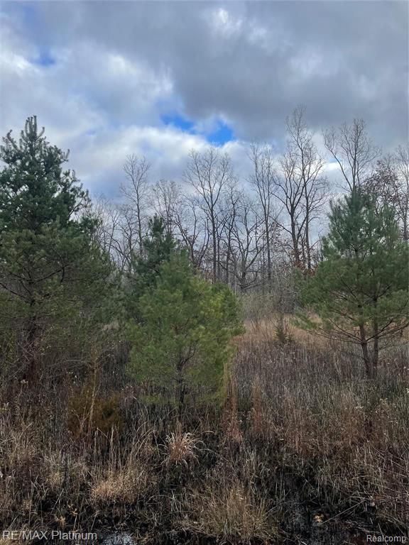 0 Seymour Road, Linden, MI 48451