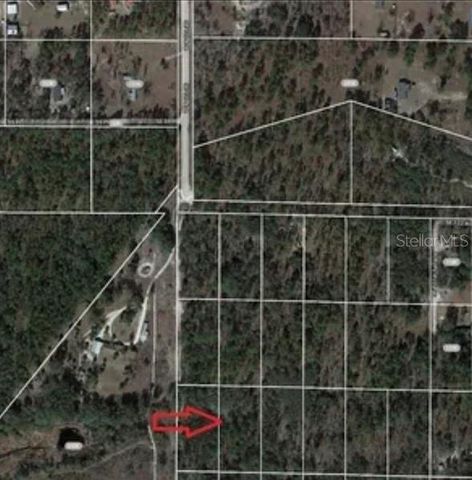 SE 60 STREET, Morriston, FL 32668