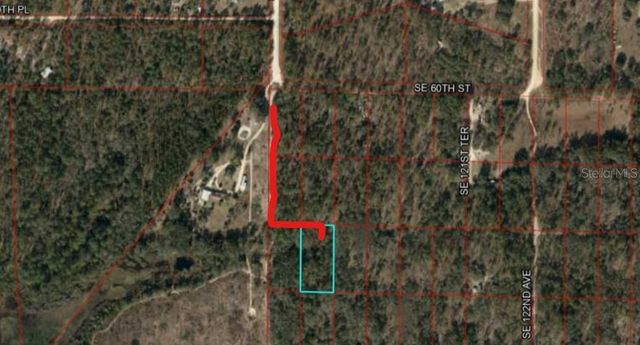 SE 60 STREET, Morriston, FL 32668