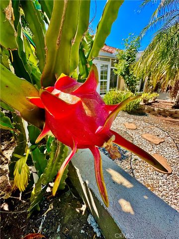 1012 Farel, Diamond Bar, CA 91789