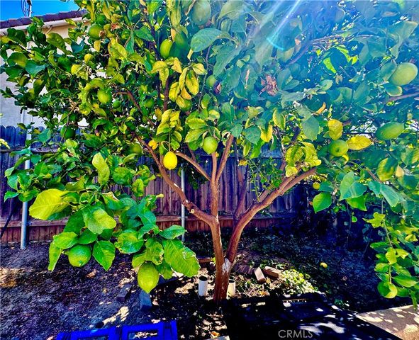 1012 Farel, Diamond Bar, CA 91789