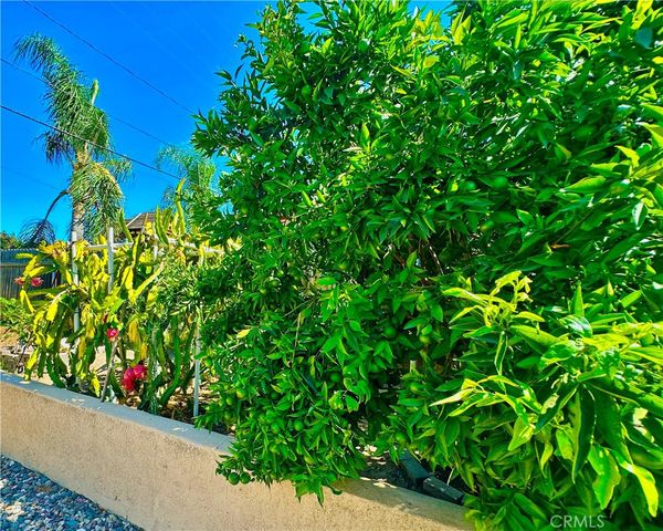 1012 Farel, Diamond Bar, CA 91789