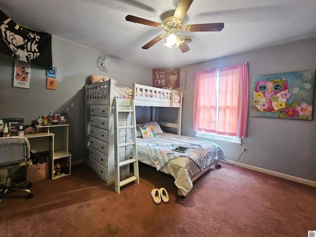 305 State Route 893, Mayfield, KY 42066