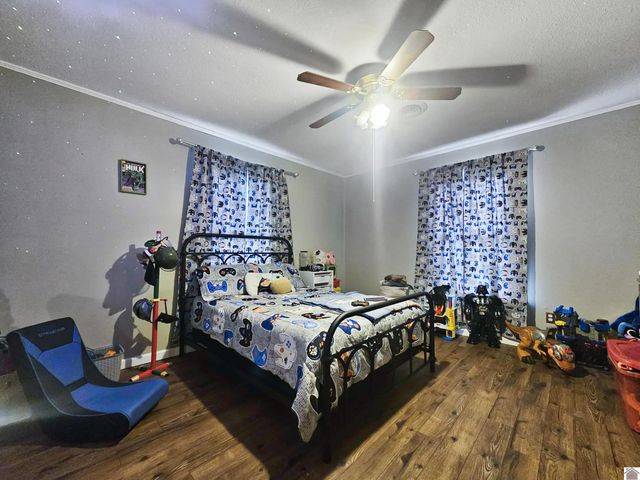 305 State Route 893, Mayfield, KY 42066