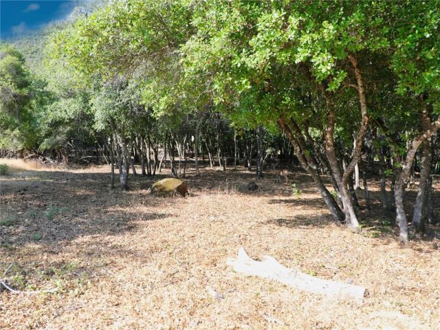 3157 Riviera Heights, Kelseyville, CA 95451